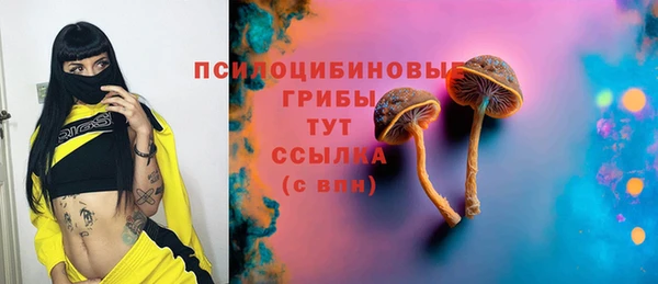 МДМА Елизово