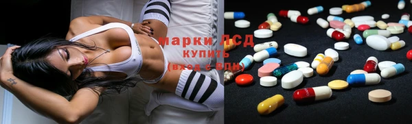 тгк Ельня