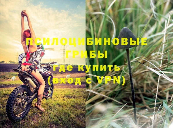 тгк Ельня