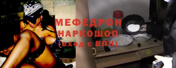 тгк Ельня