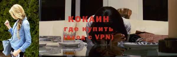 тгк Ельня