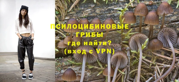 МДМА Елизово