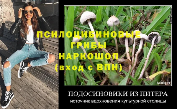 тгк Ельня