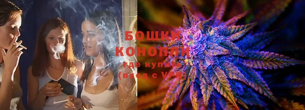 тгк Ельня