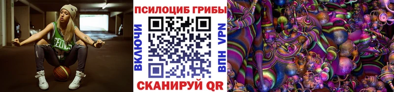 Купить закладки  Лагань  Псилоцибиновые грибы Psilocybine cubensis 
